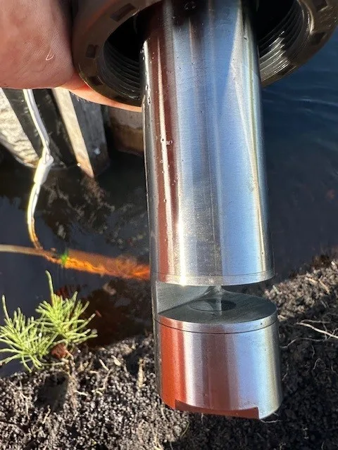dissolved organic matter